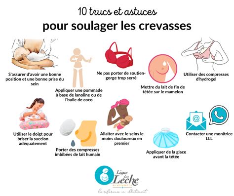 lechage de seins Search